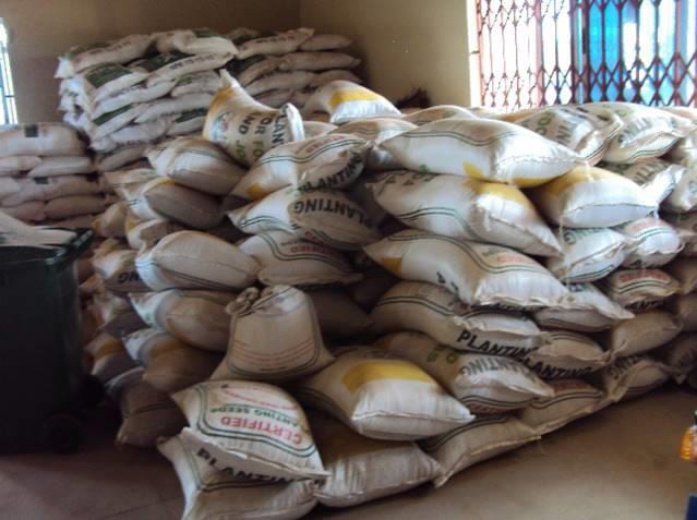 Supply of Improved Seeds and 2,194 Fertilizers  to Farmers of Akrofuom District Under PFJ