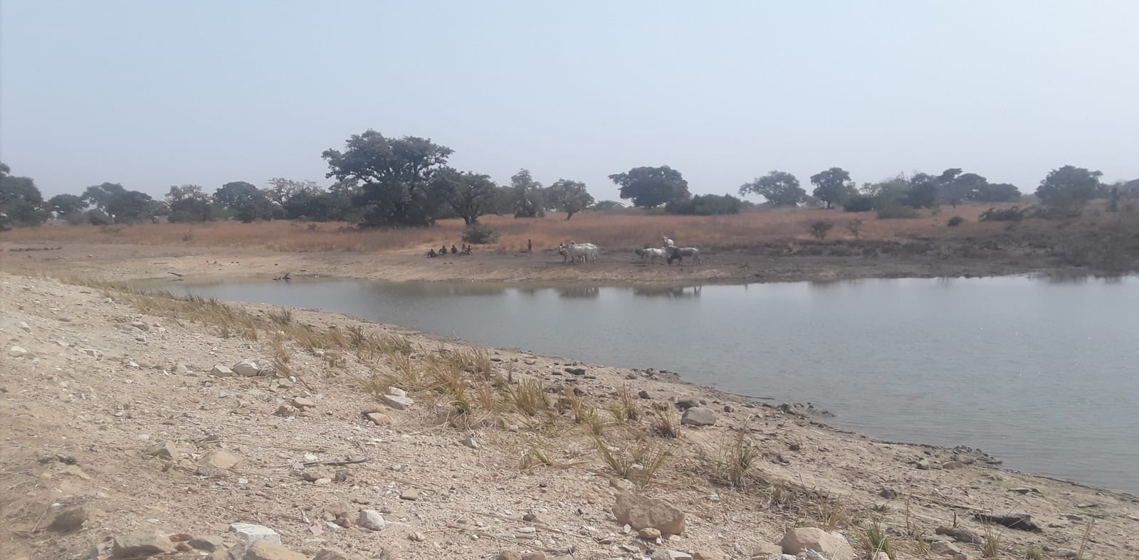 Construction of Small Earth Dam at Teshie Natinga