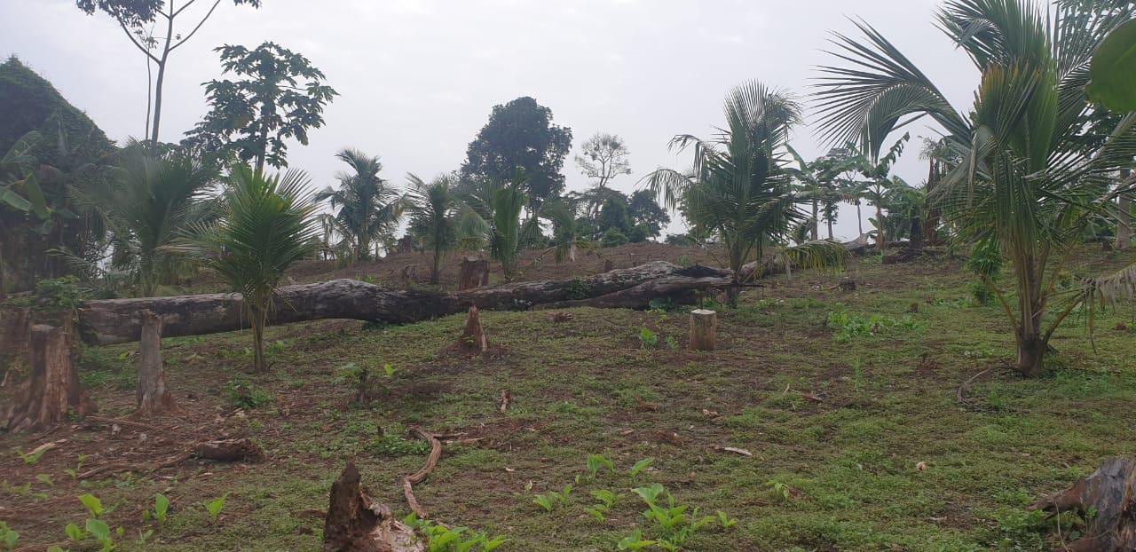Ghana Productive Safety Net Project