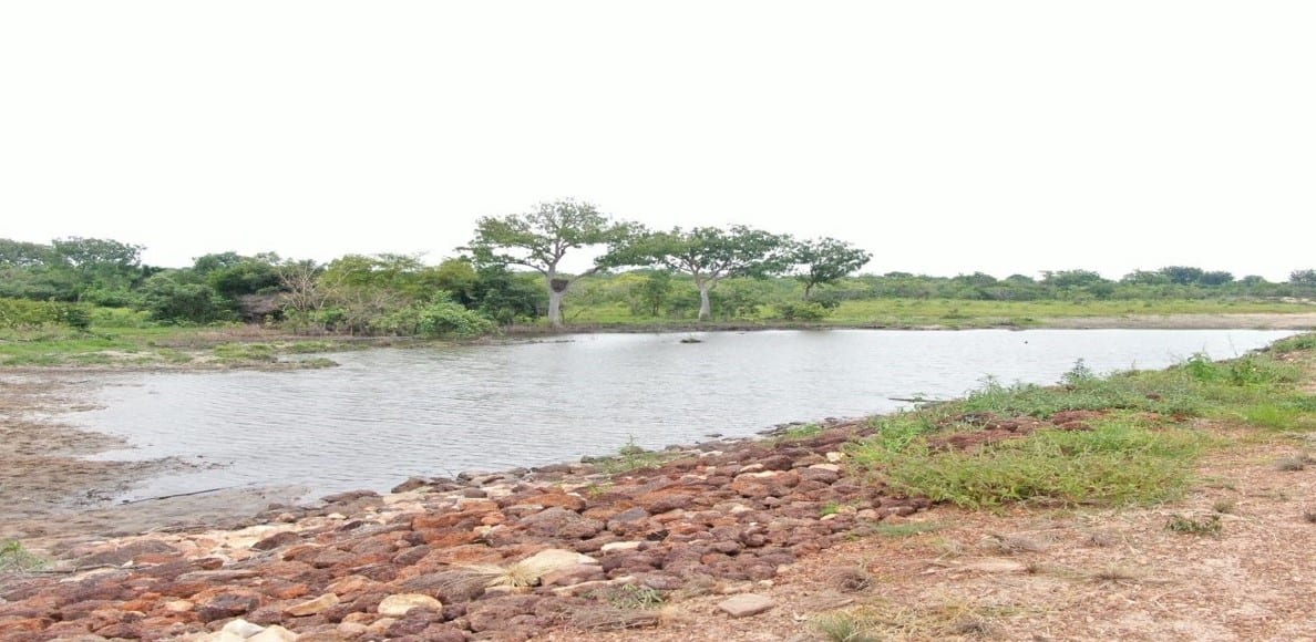 Construction of Small Earth Dam (1V1D) at Sakpa
