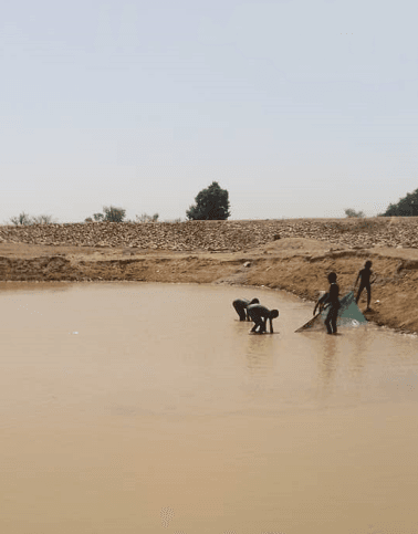 Ghana Productive Safety Net Project at Tarongo