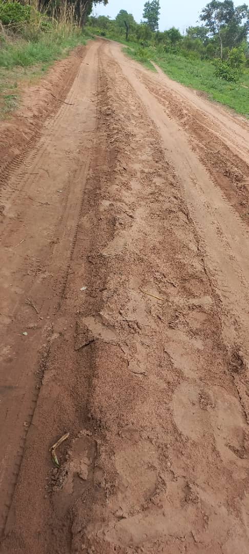 Shaping of Kigbripe-Kopedeke Feeder Road