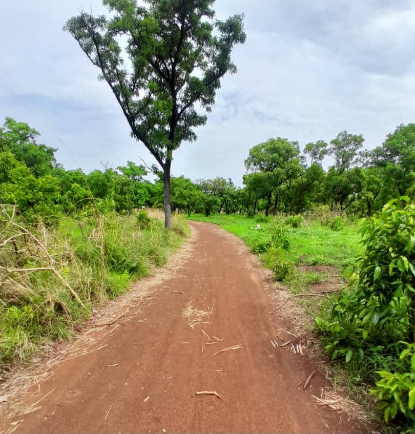 Shaping of Kpabuso - Chapose Tsikonto feeder Road