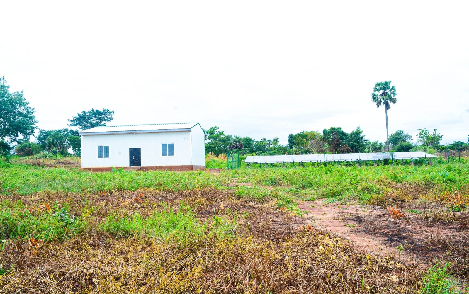Construction of 1No. Mini Grain  Processing Factory at Sekyedumase
