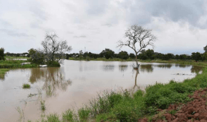 Construction of Small Earth Dam at Denugu