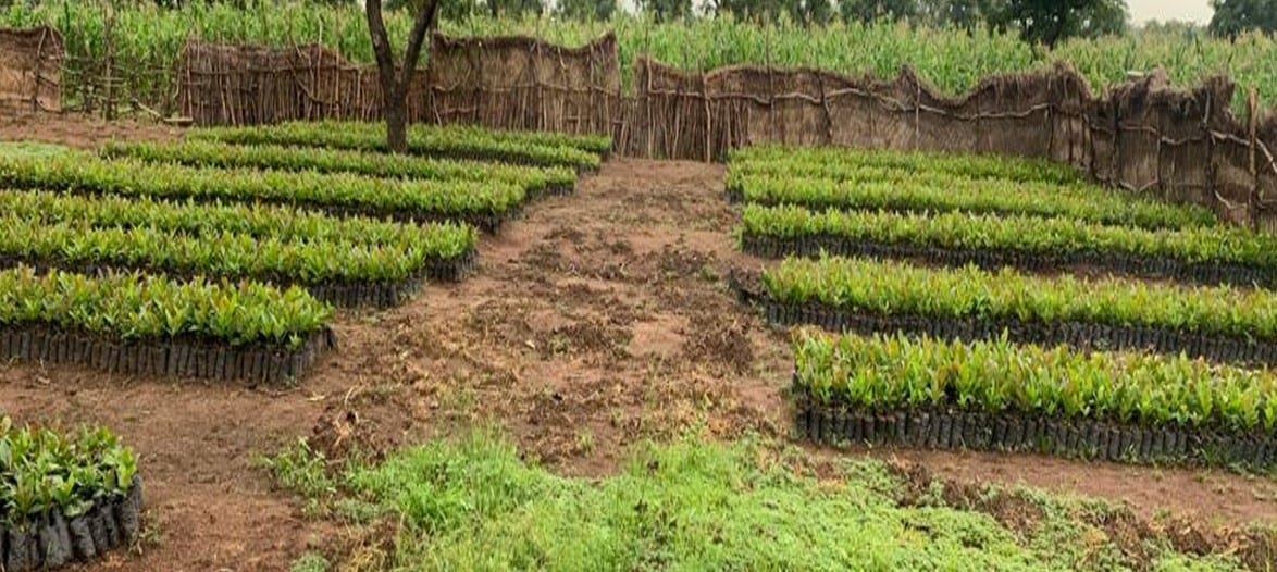 Ghana Productive Safety Net Project