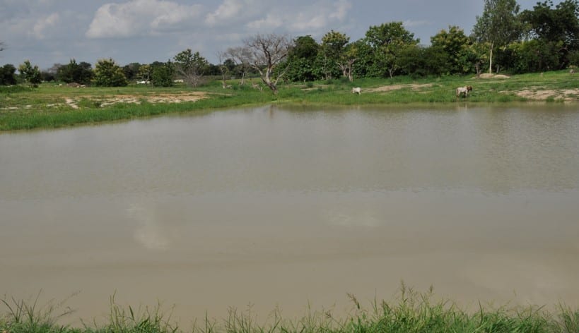 Construction of Small Earth Dam at Kajelo