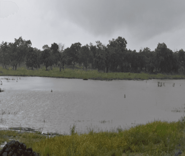 Construction of Small Earth Dam (1V1D) at Chaang