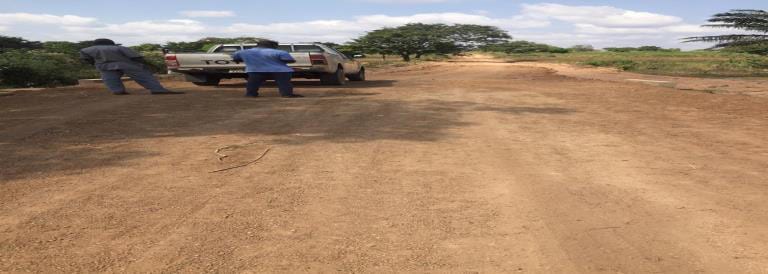 Reshaping of Nyankpani-Yadoya Feeder Road
