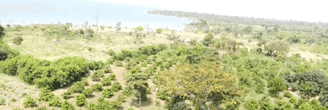 Ghana Productive Safety Net Project