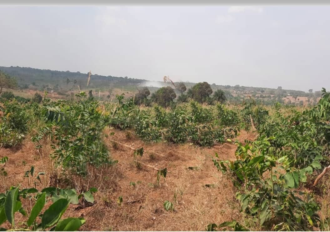 Ghana Productive Safety Net Project