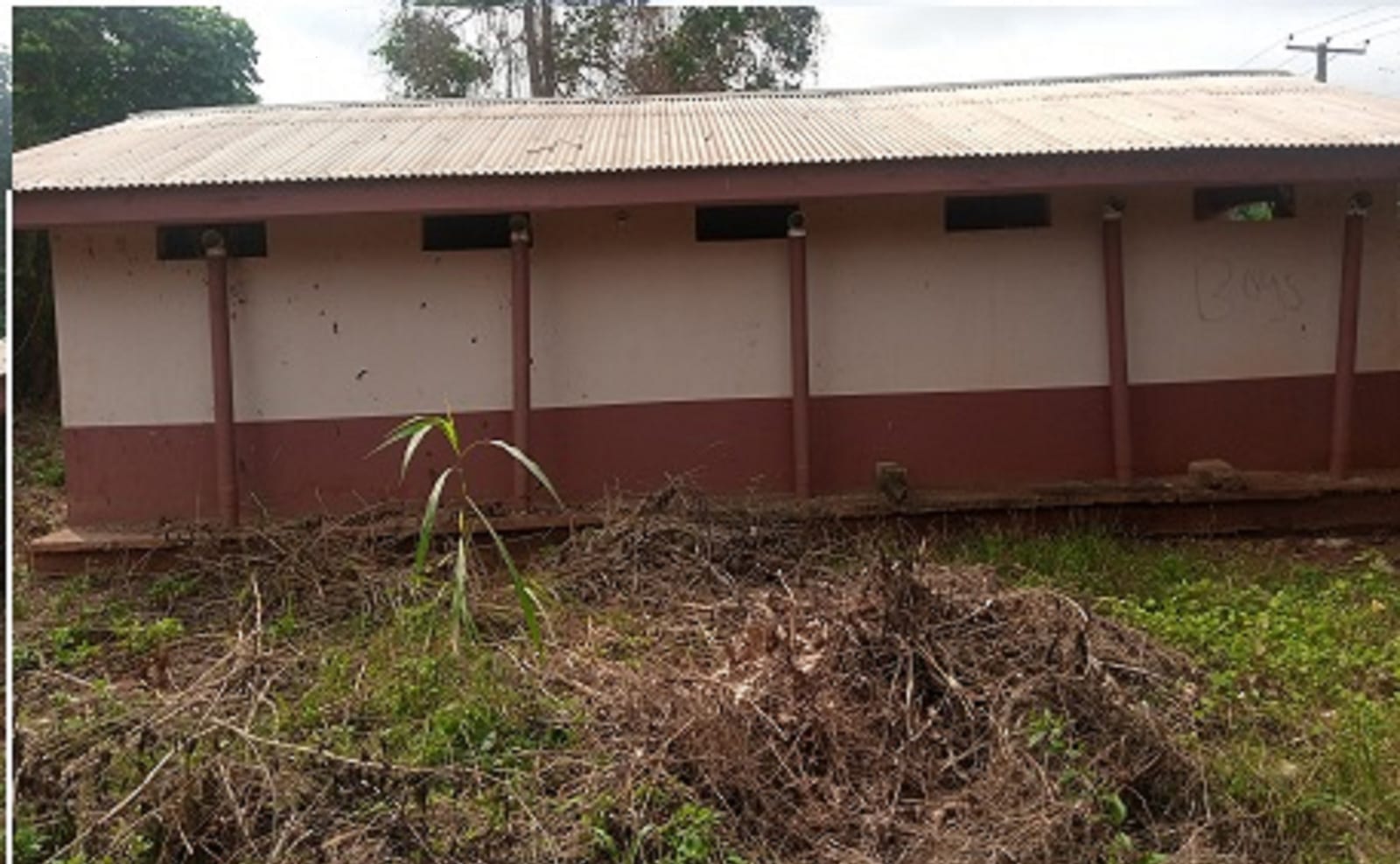 Construction of Toilet Facility at Brofoyedru