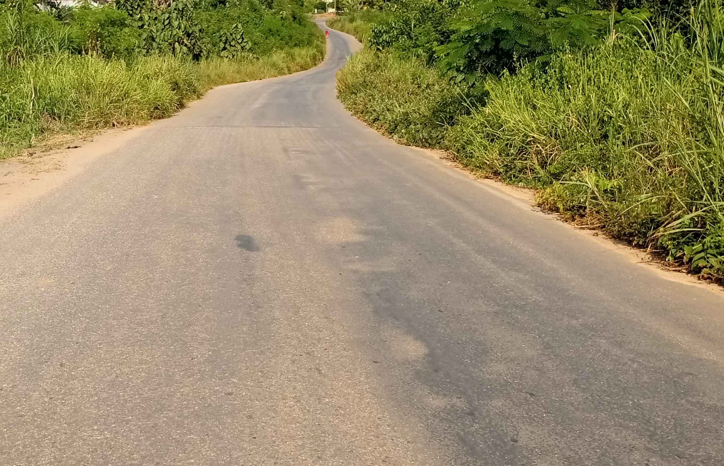 Surfacing of 1.5km of Wiamoase - Kokoteasua road