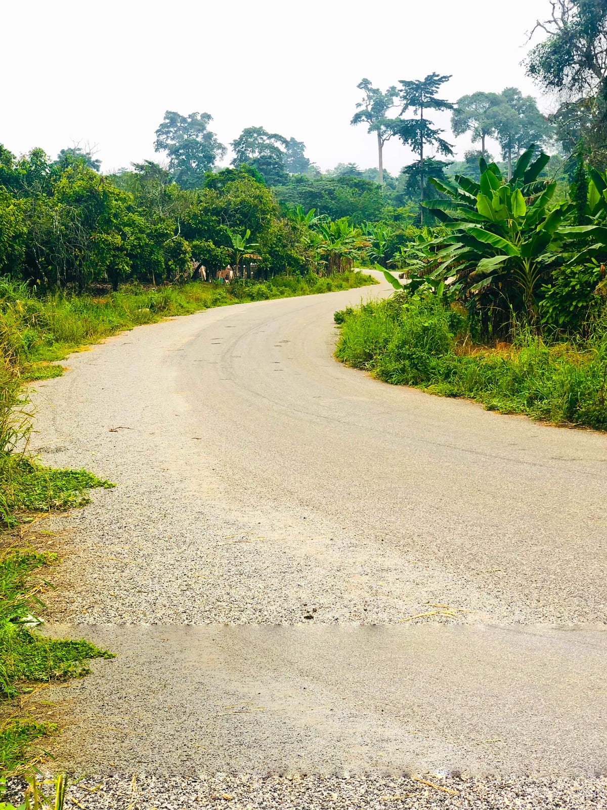 Surfacing of Sofialine - Boamang road