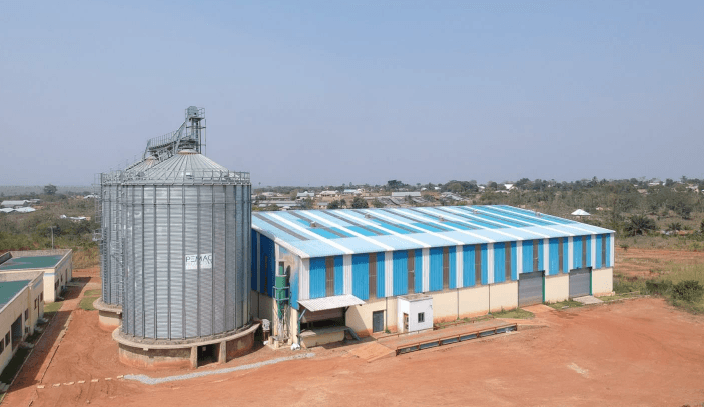 1D1F Agro Processing- Linise Limited at Mantukwa
