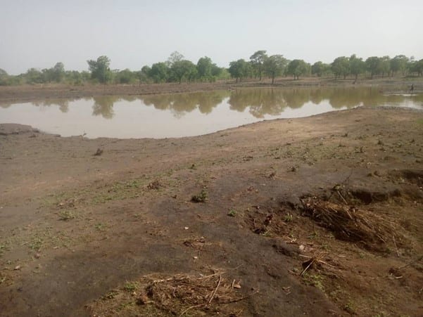 Construction of Small Earth Dam (1V1D) at Kuncheleyiri