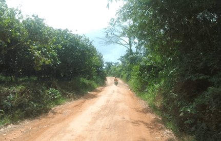 Rehabilitation of Gyedua-Afransie Road