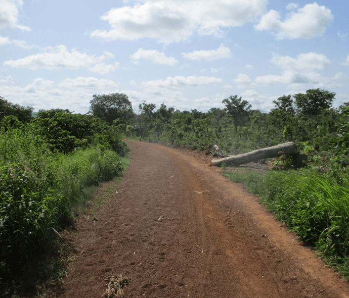 Opening and shaping of Feeder Roads at Gbandi